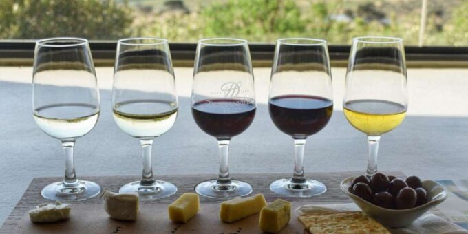 Full Day Wine Tour With 14 Wine Tasting + Lunch INCLUDED - Stops