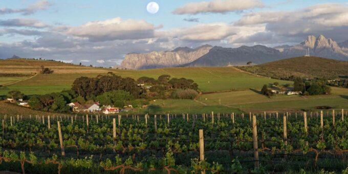Full Day Wine Tour With 14 Wine Tasting + Lunch INCLUDED - Frequently Asked Questions