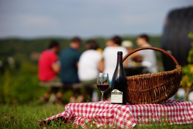 Full Day Wine Tour With Lunch at the Winery: Vouvray & Chinon - Logistics and Transportation