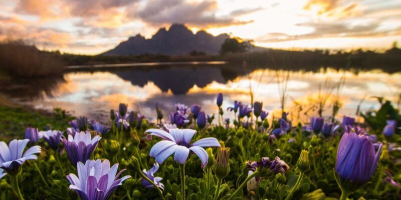 Full Day Winelands Tour - Tour Highlights