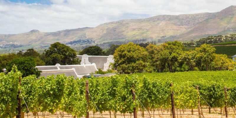 Full Day Winelands Tour - Stellenbosch: Wine and Culture