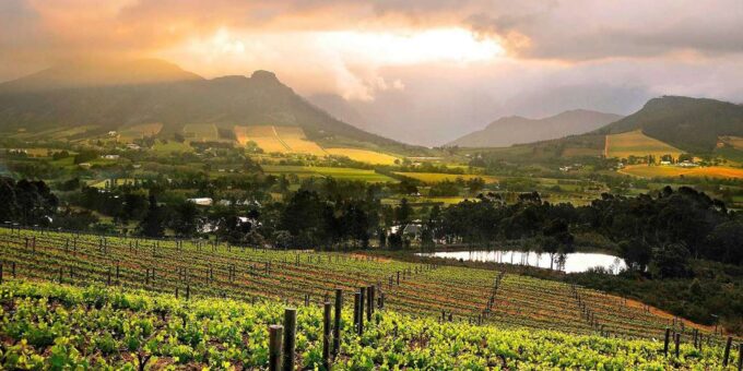 Full Day Winelands Tour - Booking and Availability