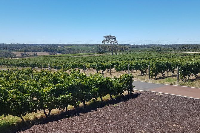 Full Day Winery and Brewery Tour in a Classic Silver Spirit Rolls Royce - Luxury Transportation