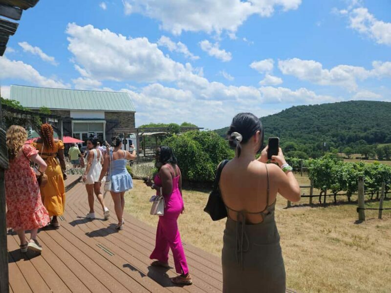 Full Day Winery Tour from Metro DC & Leesburg - 3 Wineries - The Cost & Value