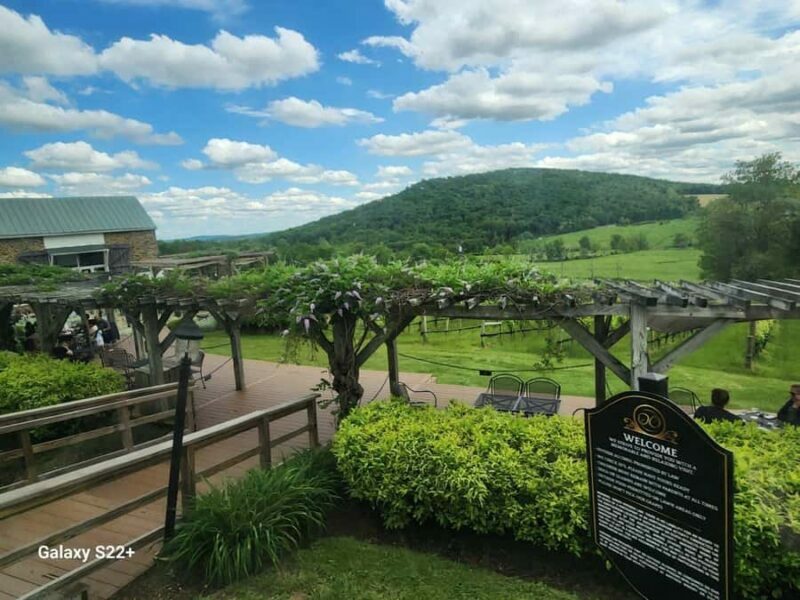 Full Day Winery Tour from Metro DC & Leesburg - 3 Wineries - Final Thoughts