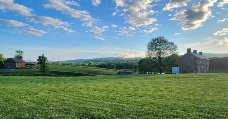 Full Day Winery Tour from Metro DC & Leesburg - 3 Wineries - FAQ