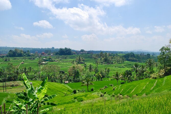 Full Day Wonders of Bali Group Tour With Pickup and Lunch - Inclusions