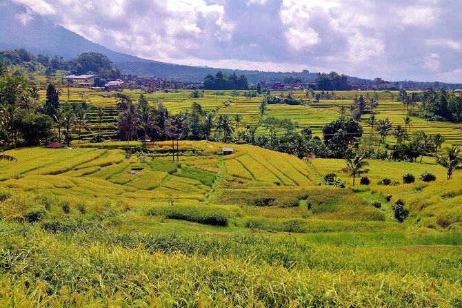 Full Day Wonders of Bali Group Tour With Pickup and Lunch - Tour Overview