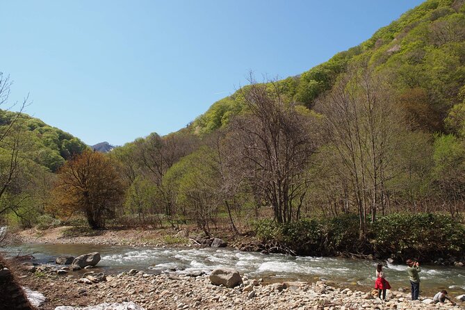 Full Day World Heritage Shirakami Mountains Hiking Tour - Health and Safety Requirements