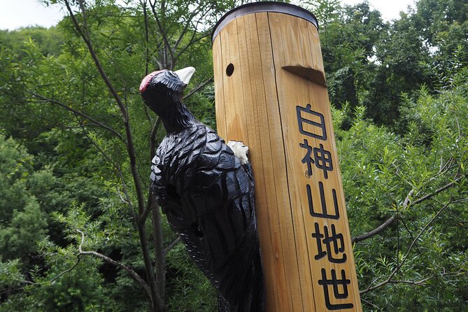 Full Day World Heritage Shirakami Mountains Hiking Tour - Exploring the World Heritage Shirakami Mountains
