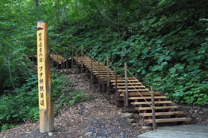 Full Day World Heritage Shirakami Mountains Hiking Tour - Taking in the Natural Beauty