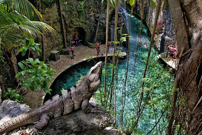 Full Day Xcaret Plus & Buffet & From Cancun & Playa Del Carmen - Participant Guidelines