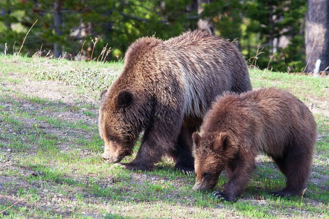 Full Day Yellowstone Natl Park Tour From West Yellowstone - Cancellation Policy