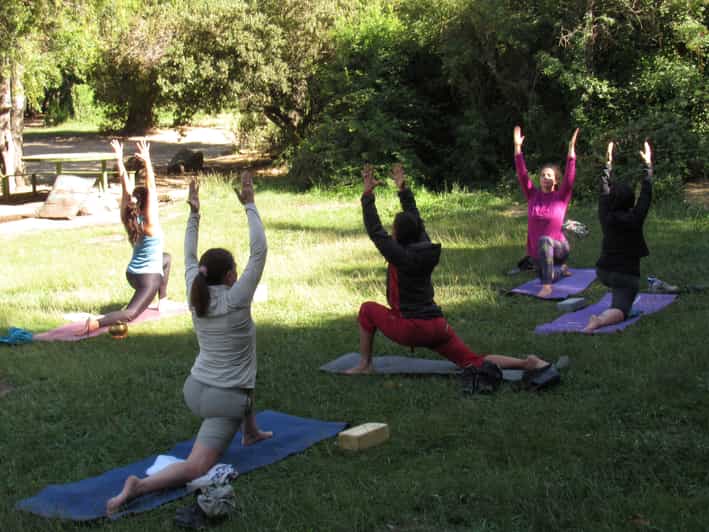 Full Day Yoga and Rock Climbing Experience. Cajón Del Maipo - Pricing and Booking
