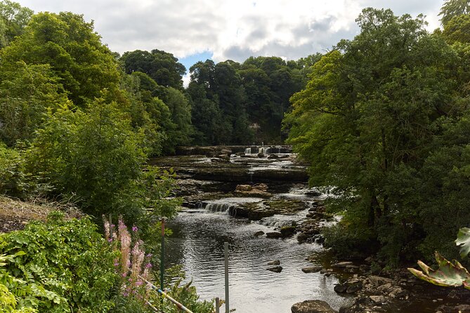 Full-Day Yorkshire Dales Tour From York - Highlights and Attractions