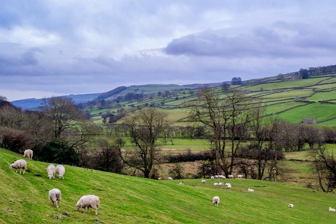 Full-Day Yorkshire Dales Tour From York - Guide Insights