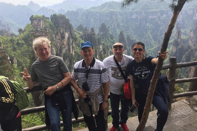 Full-Day Zhangjiajie National Forest Park Tour: Tianzi Mountain and Yuanjiajie - Tour Options and Accessibility