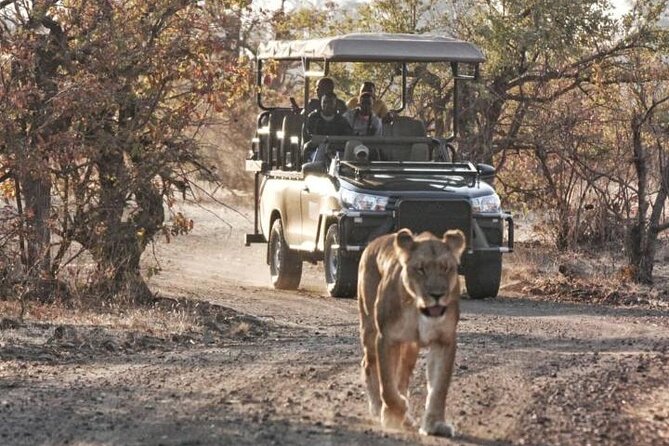 Full-Day Zimbabwe Zambezi National Park Safari & Lunch - Recap