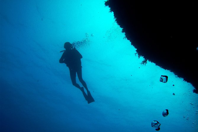 (Full Day)Scuba Diving in Rhodes - Snorkeling Alternative