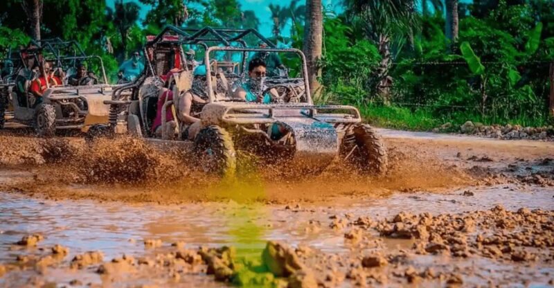 Full Dominican Adventure: Zipline, ATV, Horseback & Safari - Key Points