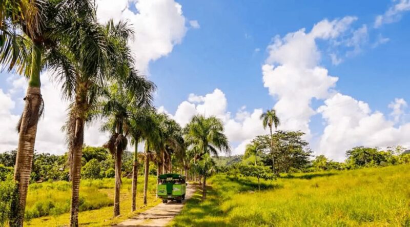 Full Dominican Adventure: Zipline, ATV, Horseback & Safari - Itinerary and Activities