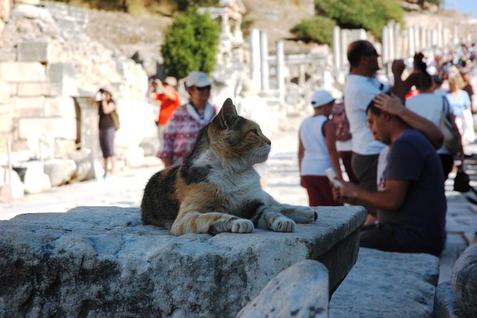 Full Ephesus With All Highlights Tour -SKIP THE LINE TICKETS - Traveler Reviews