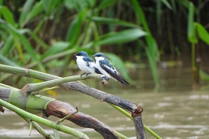 Full Expedition 5Days 4Nights - Amazon Wonder Expeditions - Meeting and Pickup