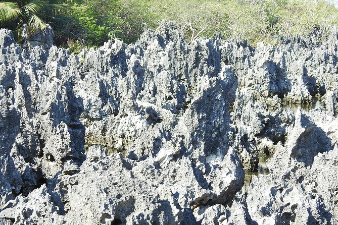 Full Grand Cayman Island Tour - Booking Information