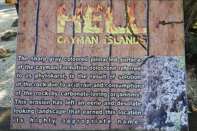 Full Grand Cayman Island Tour - Tour Highlights
