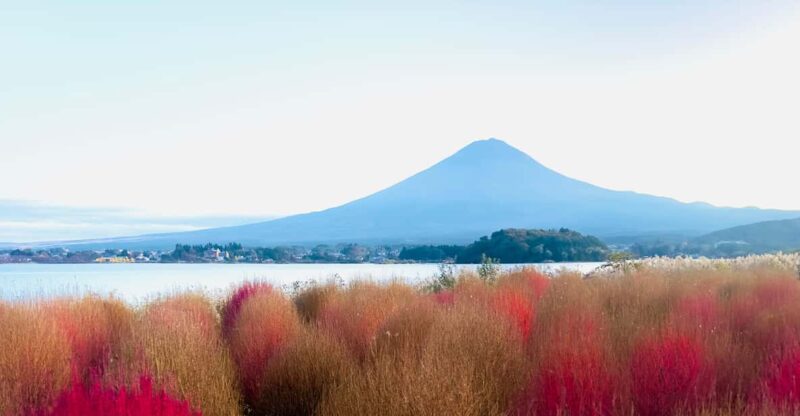 Full Guided Fuji San Private One Day Tour - Transportation and Accessibility