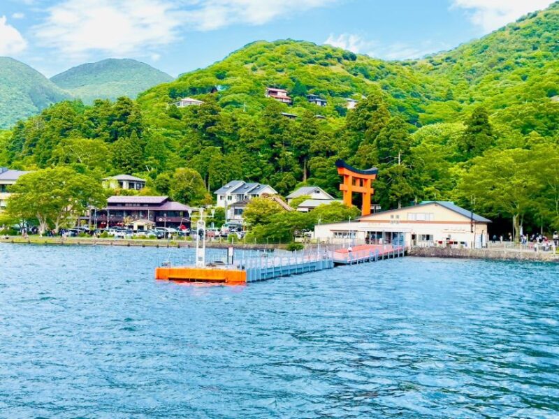 Full Guided One Day Trip for Mount Fuji Japan - Inclusions
