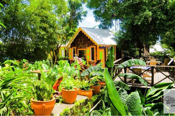 Full Island Private Tour - Botanical Gardens at Romney Manor