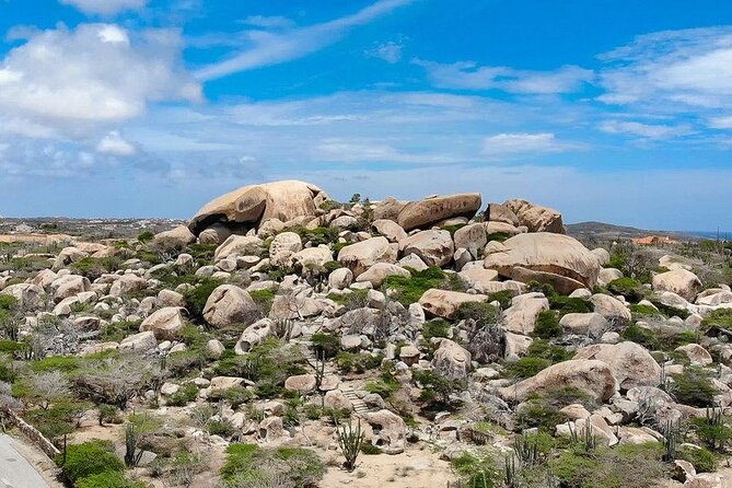 Full Island Safari Tour and Baby Beach in Aruba - Mixed Reviews From Tourists