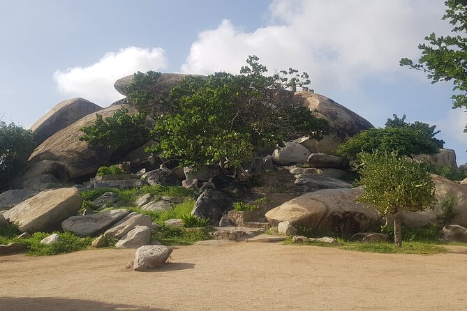 Full Island Sightseeing Tour of Aruba With Cave Pool Swim - Inclusions
