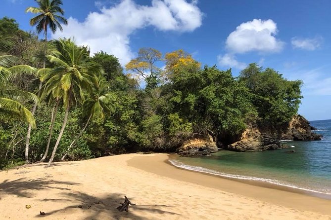 Full Island Tour (Including Lunch & Snorkeling) - Snorkeling Equipment