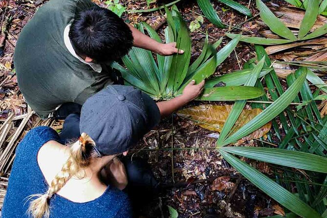 Full Jungle Experience Tour - Immerse in Nature