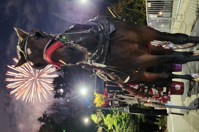 Full Loop Private Horse Carriage Ride in Central Park 45 Minutes - Meeting and Pickup Details