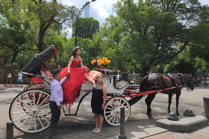 Full Loop Private Horse Carriage Ride in Central Park 45 Minutes - Tour Accessibility and Participation
