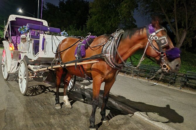 Full Loop Private Horse Carriage Ride in Central Park 45 Minutes - Maximizing Your Time in the Park