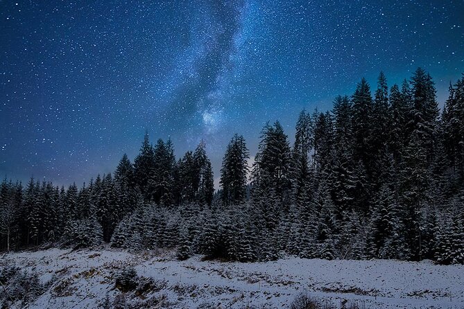 Full Moon Snowshoe Tour - Reviews and Confirmation