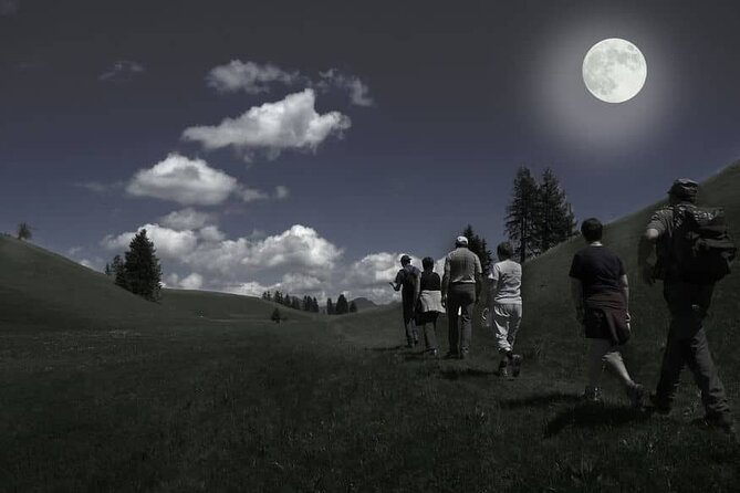 Full Moon Walking Tour in Auckland - Key Points