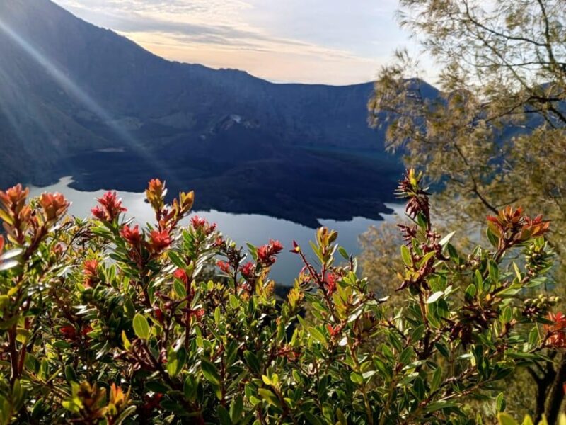 Full Mount Rinjani Tour 4D/3N Sembalun Lake And Senaru - Key Points