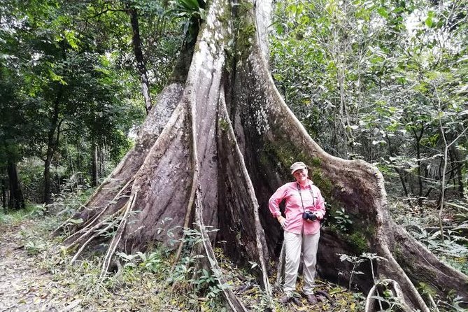 Full Nature 4 Days 3 Nights - Amazon Wonder Expeditions - Booking and Planning