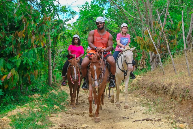 Full Pack Buggies + Horses + Zip Line + Food in Punta Cana - Transportation and Logistics