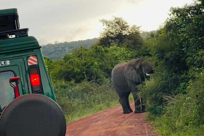 Full-Private Akagera Boat Cruise and Game Drive - Pickup Details