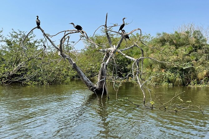 Full-Private Akagera Boat Cruise and Game Drive - Cancellation Policy