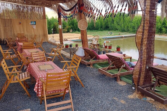 Full Private Day Safari to White & Black Desert Oasis From Cairo - Inclusions