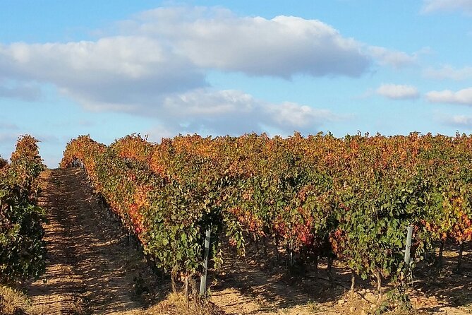 Full Rioja Wine Tour With Lunch From San Sebastian Private Tour - Tasting Experiences