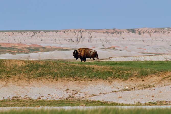 Full Spectrum: Badlands, Agates & Wall Drug Tour - Journey Through Badlands