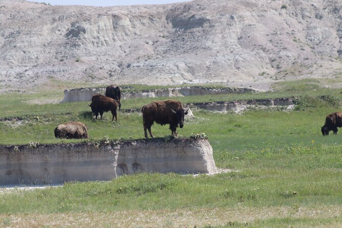 Full Spectrum: Badlands, Agates & Wall Drug Tour - Exploring Wall Drug